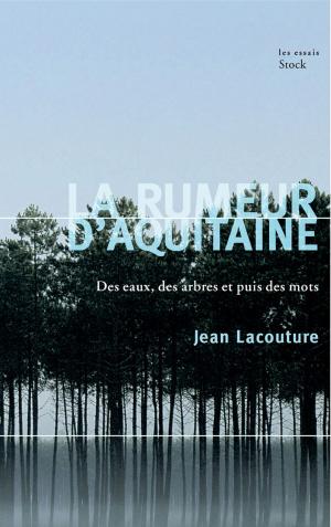Cover of the book La rumeur d'Aquitaine by Daniel Grandclément, Hélène Mathieu