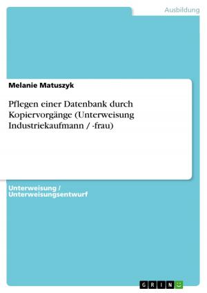 Cover of the book Pflegen einer Datenbank durch Kopiervorgänge (Unterweisung Industriekaufmann / -frau) by Dirk Beckmann