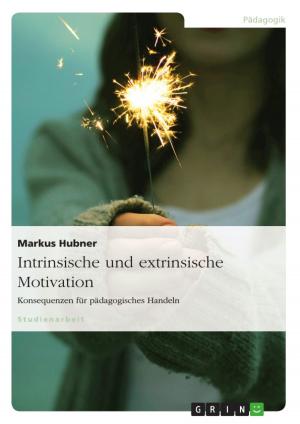 Cover of the book Intrinsische und extrinsische Motivation. Konsequenzen für pädagogisches Handeln by Anne Nickel