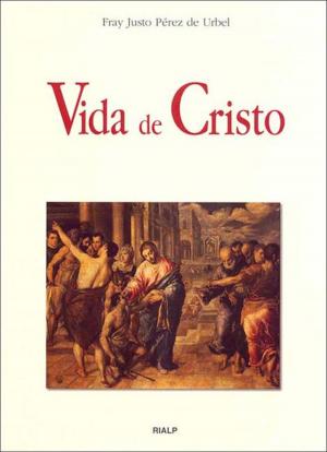 Cover of the book Vida de Cristo by José Luis Comellas García-Lera