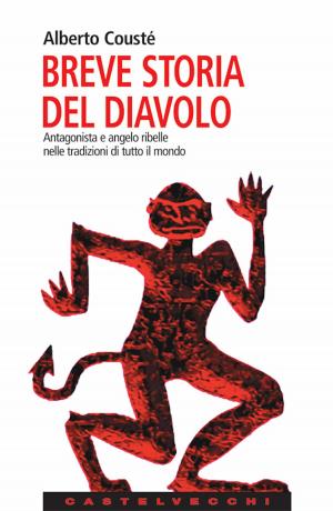 Cover of the book Breve storia del diavolo by danah boyd, Fabio Chiusi