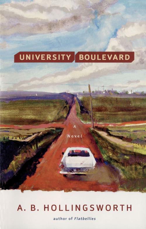 Cover of the book University Boulevard: A Novel by Alan B. Hollingsworth, M.D., W. W. Norton & Company