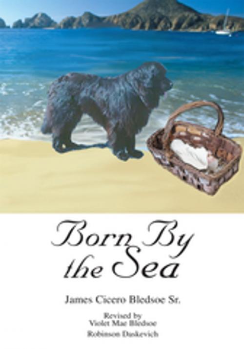 Cover of the book Born by the Sea by Violet Mae Bledsoe Robinson Daskevich, iUniverse