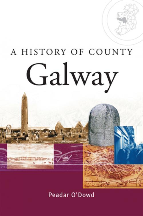 Cover of the book A History of County Galway by Peadar O'Dowd, Gill Books