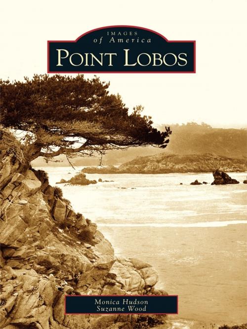 Cover of the book Point Lobos by Monica Hudson, Suzanne Wood, Arcadia Publishing Inc.