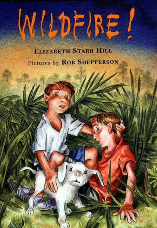 Cover of the book Wildfire! by Elizabeth Starr Hill, Farrar, Straus and Giroux (BYR)