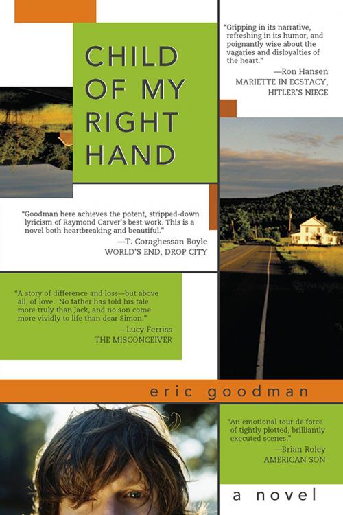 Cover of the book Child of My Right Hand by Eric Goodman, Sourcebooks