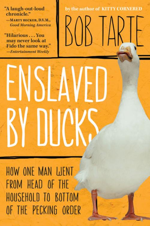 Cover of the book Enslaved by Ducks by Bob Tarte, Algonquin Books