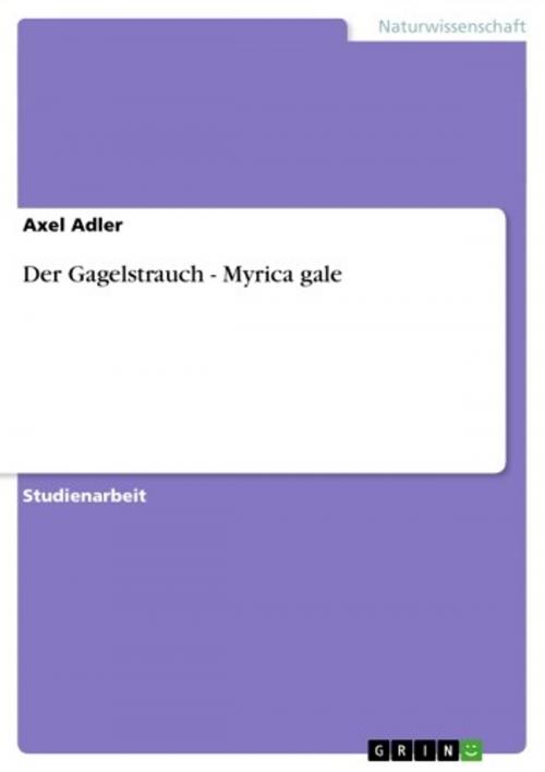 Cover of the book Der Gagelstrauch - Myrica gale by Axel Adler, GRIN Verlag