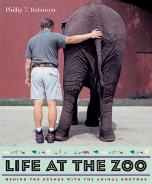 Cover of the book Life at the Zoo by Tulasi Srinivas