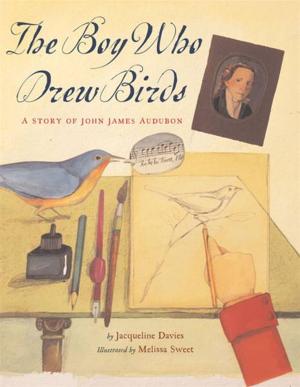 Book cover of The Boy Who Drew Birds