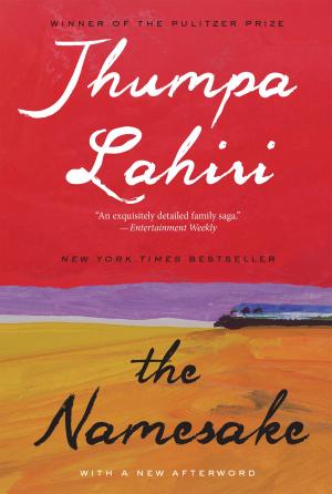 Cover of the book The Namesake by Katherine Paterson