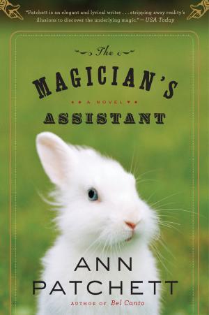 bigCover of the book The Magician's Assistant by 