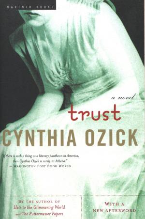 Cover of the book Trust by Patrice Kindl
