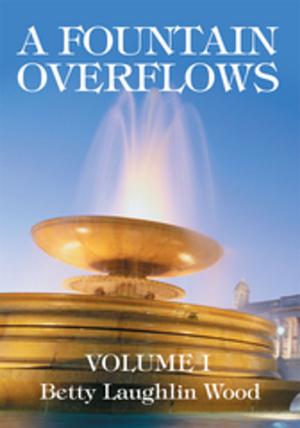 Cover of the book A Fountain Overflows by William R. Cooney