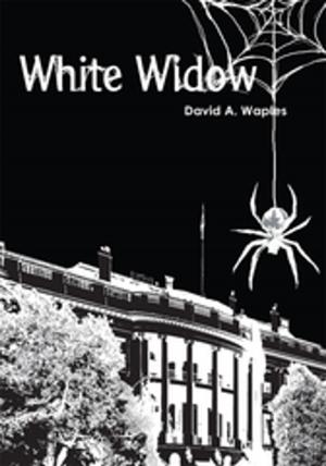 Cover of the book White Widow by Ashton Raze