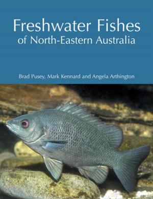 Cover of the book Freshwater Fishes of North-Eastern Australia by Cole Davis