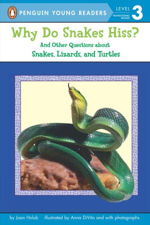 Cover of the book Why Do Snakes Hiss? by Nancy Werlin