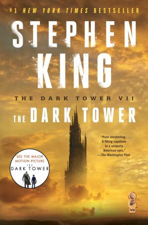 Book cover of The Dark Tower VII