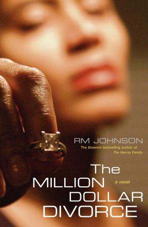 Book cover of The Million Dollar Divorce