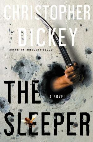 Cover of the book The Sleeper by John Bingham