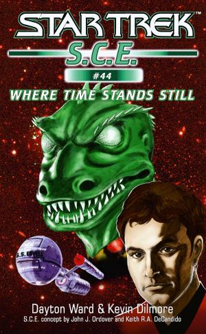 Cover of the book Star Trek: Where Time Stands Still by Kris Austen Radcliffe