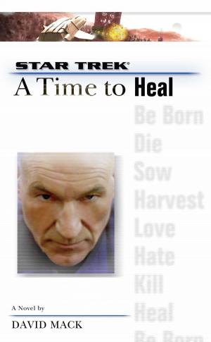 Book cover of A Star Trek: The Next Generation: Time #8: A Time to Heal