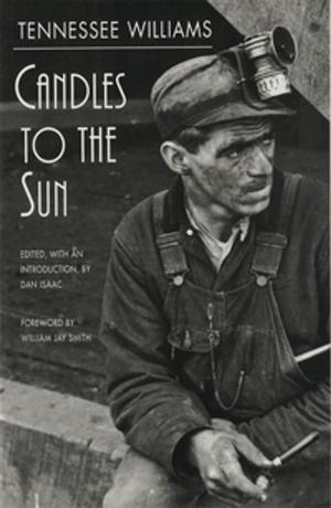 Cover of the book Candles to the Sun by Eka Kurniawan