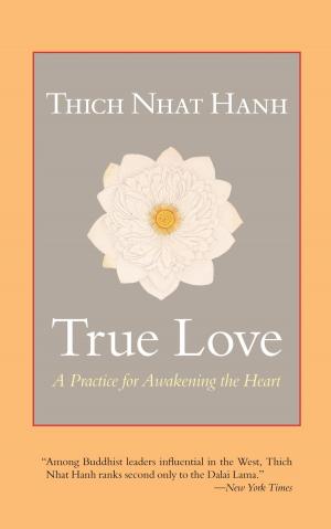 Cover of the book True Love by Ann Saffi Biasetti