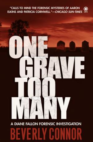 Cover of the book One Grave Too Many by Georges Simenon