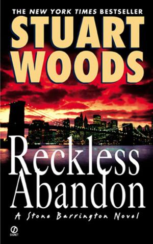 Cover of the book Reckless Abandon by Meg Gardiner