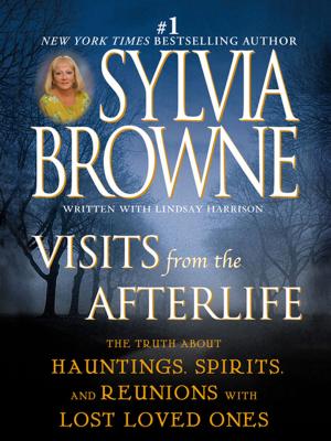 Cover of the book Visits from the Afterlife by Laurell K. Hamilton