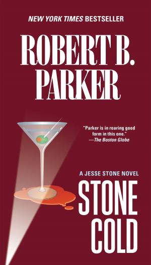 Cover of the book Stone Cold by Nancy Atherton