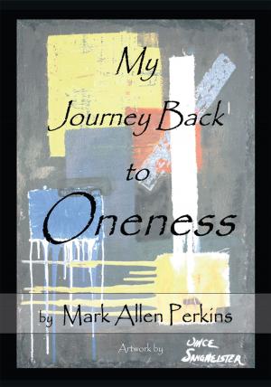 Cover of the book My Journey Back to Oneness by Brandon Palmateer