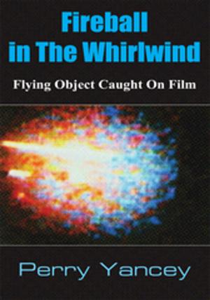 Cover of the book Fireball in the Whirlwind by Regina Runnels