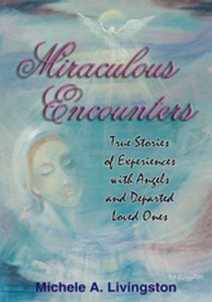 Cover of the book Miraculous Encounters by R. Şanal