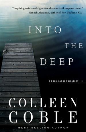 Cover of the book Into the Deep by Kristi Watts
