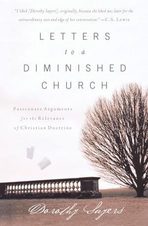 Cover of the book Letters to a Diminished Church by Bev Smallwood