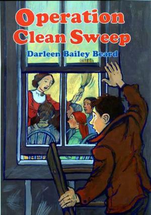 Cover of the book Operation Clean Sweep by William Steig