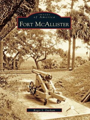 Cover of the book Fort McAllister by Maggi Smith-Dalton
