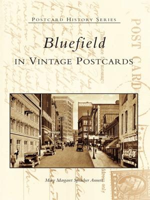 Cover of the book Bluefield in Vintage Postcards by Cory Stargel, Sarah Stargel