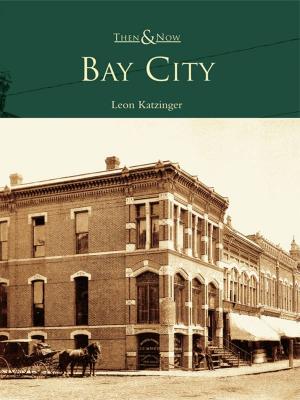 Cover of the book Bay City by Jim Harkins, Cecelia N. Brunner