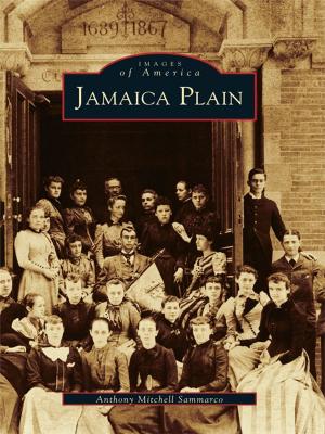 Cover of the book Jamaica Plain by Daniel Anthony Hartis