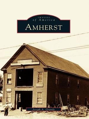 Cover of the book Amherst by Lauren M. Swartz, James A. Swartz