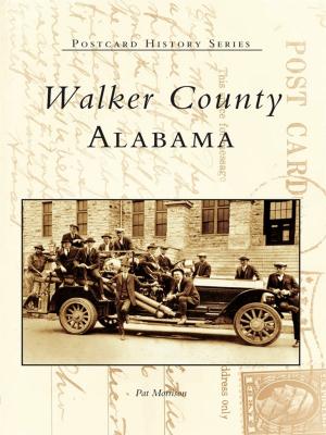 Cover of the book Walker County, Alabama by Carl P. Baggese, McHenry Museum