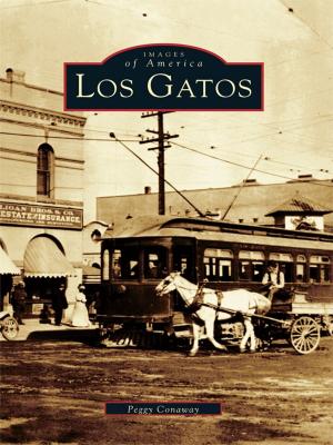 Cover of the book Los Gatos by Ron Gagliardi