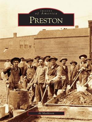 Cover of the book Preston by Roberta Kossoff, Annette Henkin Landau
