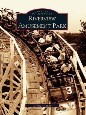 Cover of the book Riverview Amusement Park by Timothy J. Pauldine