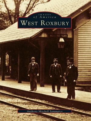 Book cover of West Roxbury