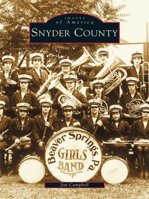 Cover of the book Snyder County by Debbie Sharp